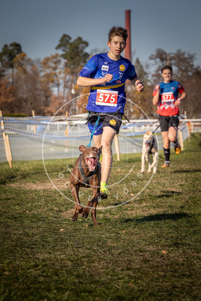 CaniXpix_0L8A8103 | Hundefotografie, Tierfotograf, Pfotenfotografie, Fotoshooting Hund, Hunde Portrait, Hundesport, Hundeportraits, Heideshooting, Hunde, Sportfotograf, Hundefotograf, Turnierhundsport, THS,  - Realisiert mit Pictrs.com