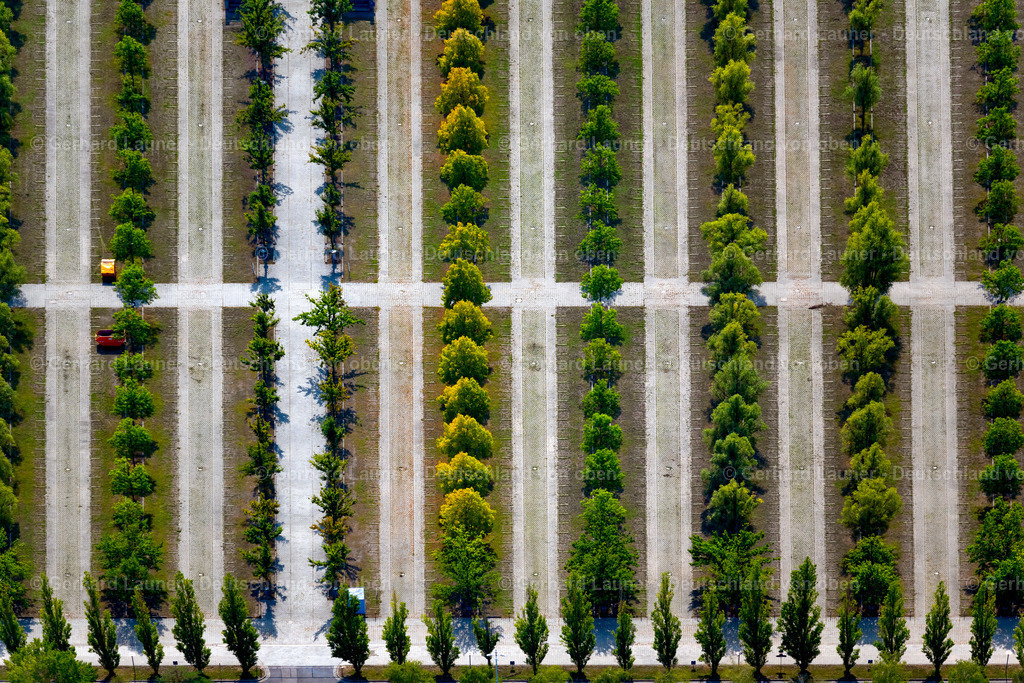 4039879 | LEIPZIG 14.09.2020 Baumreihen am Parkplatz und Abstellfläche für Automobile - PKW auf dem Gelände der Leipziger Messe in Leipzig im Bundesland Sachsen, Deutschland. Weiterführende Informationen bei: LMI - Leipziger Messe International GmbH,  gmp International GmbH. // Parking and storage space for automobiles on the fairgrounds of Leipziger Messe in Leipzig in the state Saxony, Germany. Further information at: LMI - Leipziger Messe International GmbH,  gmp International GmbH. Foto: Gerhard Launer