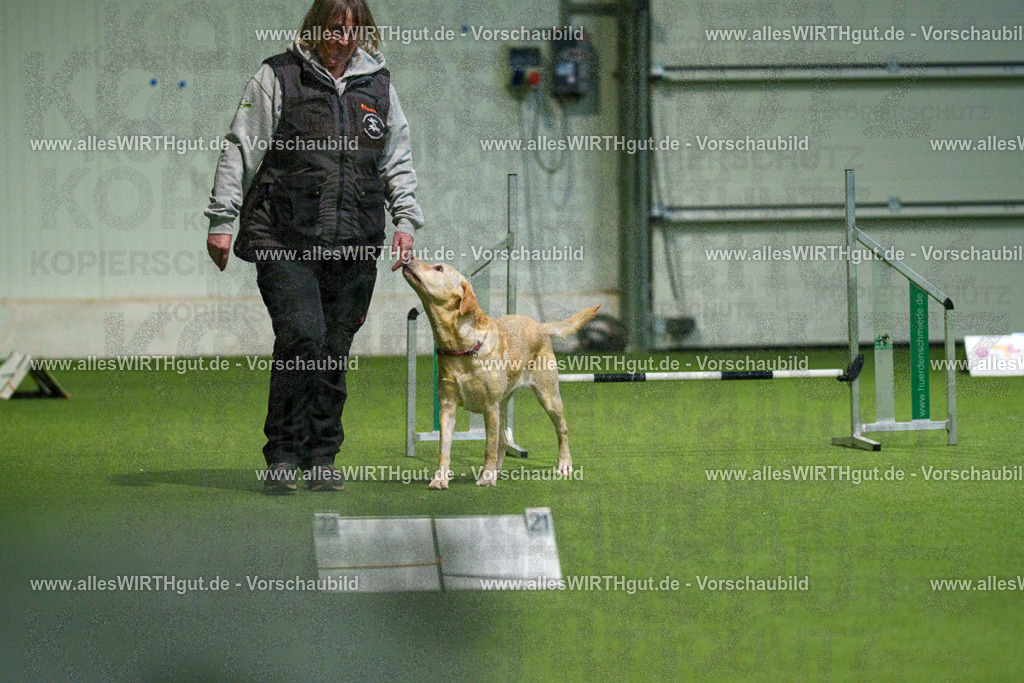 7R504660 | Professionelle Tierfotografie in Mönchengladbach von Daniel Wirth (allesWIRTHgut). Liebevolle & natürliche Bilder von Hunden & Katzen für unvergessliche Erinnerungen.