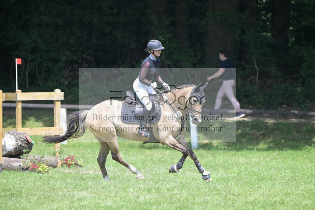 DOS_5110 | Entdecke hochwertige Reitturnierfotos von Foto Oger. Professionell, emotional und authentisch – jetzt Lieblingsmomente im Shop bestellen.Deutschlandweite Turnierfotografie. - Realisiert mit Pictrs.com