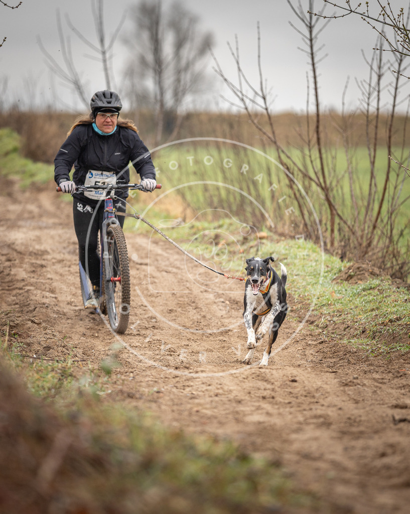 DV3A9244 | Hundefotografie, Tierfotograf, Pfotenfotografie, Fotoshooting Hund, Hunde Portrait, Hundesport, Hundeportraits, Heideshooting, Hunde, Sportfotograf, Hundefotograf, Turnierhundsport, THS,  - Realisiert mit Pictrs.com