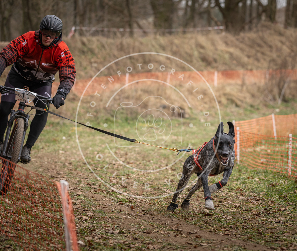 Pfotenfotografie_DV3A6753 | Hundefotografie, Tierfotograf, Pfotenfotografie, Fotoshooting Hund, Hunde Portrait, Hundesport, Hundeportraits, Heideshooting, Hunde, Sportfotograf, Hundefotograf, Turnierhundsport, THS,  - Realisiert mit Pictrs.com