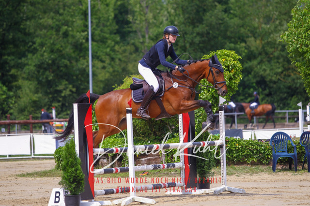 DKP41887 | Turniersportfotografie; Pferdefotografie; Dressurfotografie