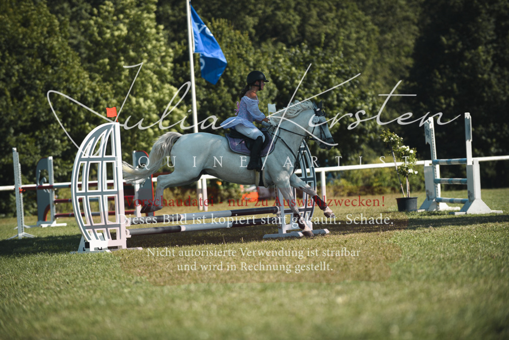 DSC_7556 | Pferde- und Turnierfotografie in Westsachsen. Pferdeportraits, Auftragszeichnungen und intuitive Kunst.