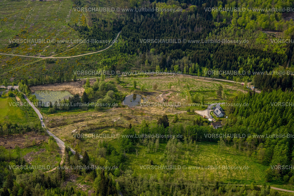 Kreuztal240502523Grubenfeld-Littfeld-Kindelsberg | Luftbild, Waldgebiet mit Waldschäden, Grubenfeld Grubengelände Littfeld Kindelsberg, Teich und Wohnhaus, Burgholdinghausen, Kreuztal, Nordrhein-Westfalen, Deutschland