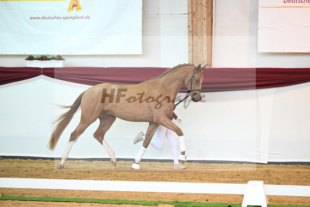 Kat-Nr. 56 v. Vivaldos_Fischer_66220822 | hf-fotografie - Realisiert mit Pictrs.com