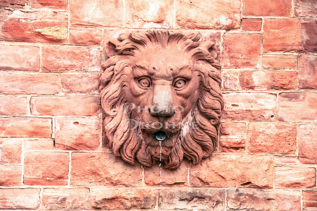 20200802105629_IMG_1530 | Löwenkopf an der Mainbrücke Miltenberg - Realisiert mit Pictrs.com