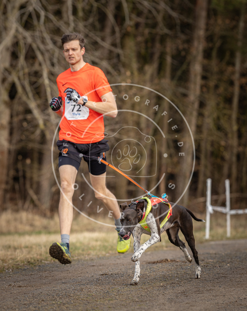 DV3A3650 | Hundefotografie, Tierfotograf, Pfotenfotografie, Fotoshooting Hund, Hunde Portrait, Hundesport, Hundeportraits, Heideshooting, Hunde, Sportfotograf, Hundefotograf, Turnierhundsport, THS,  - Realisiert mit Pictrs.com
