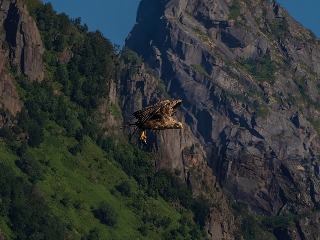 P1001692-LR-topaz-denoise-enhance | Natur im Moment - Realisiert mit Pictrs.com