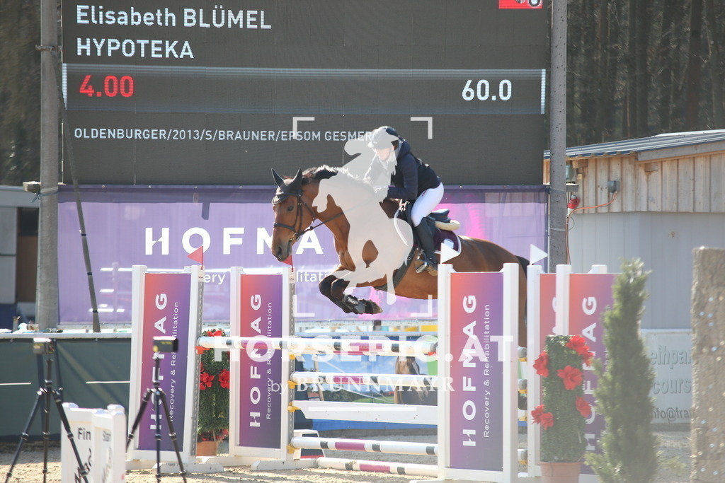 AS8V2849 | Willkommen bei Brunnmayr - Design & Fotografie – Ihrem Spezialisten für Reitturniere und Pferdeveranstaltungen in Oberösterreich, Salzburg und Bayern! Seit über 17 Jahren sind wir leidenschaftlich dabei.
