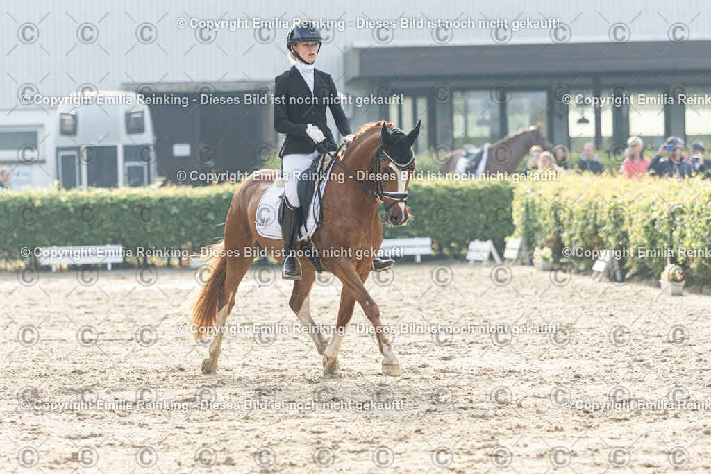 CL5A3561 | Emilia Reinking Fotografie - Realisiert mit Pictrs.com