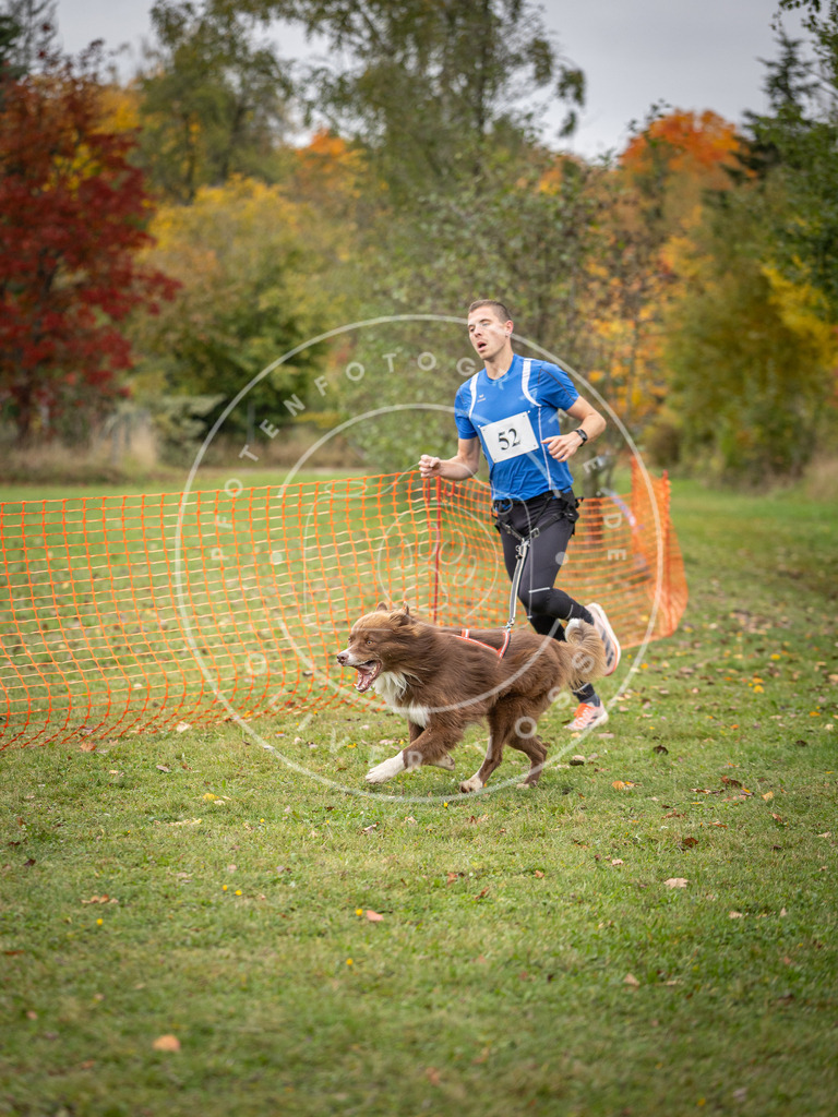 Pfotenfotografie_DV3A2510 | Hundefotografie, Tierfotograf, Pfotenfotografie, Fotoshooting Hund, Hunde Portrait, Hundesport, Hundeportraits, Heideshooting, Hunde, Sportfotograf, Hundefotograf, Turnierhundsport, THS,  - Realisiert mit Pictrs.com