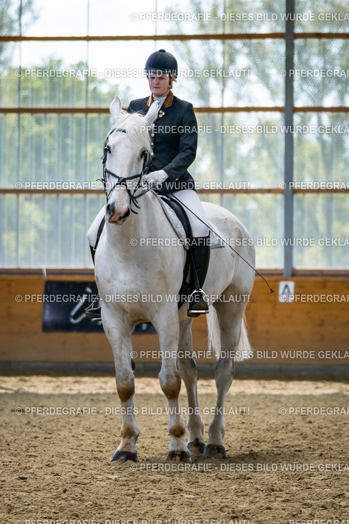 DSC05625 | Pferdegrafie