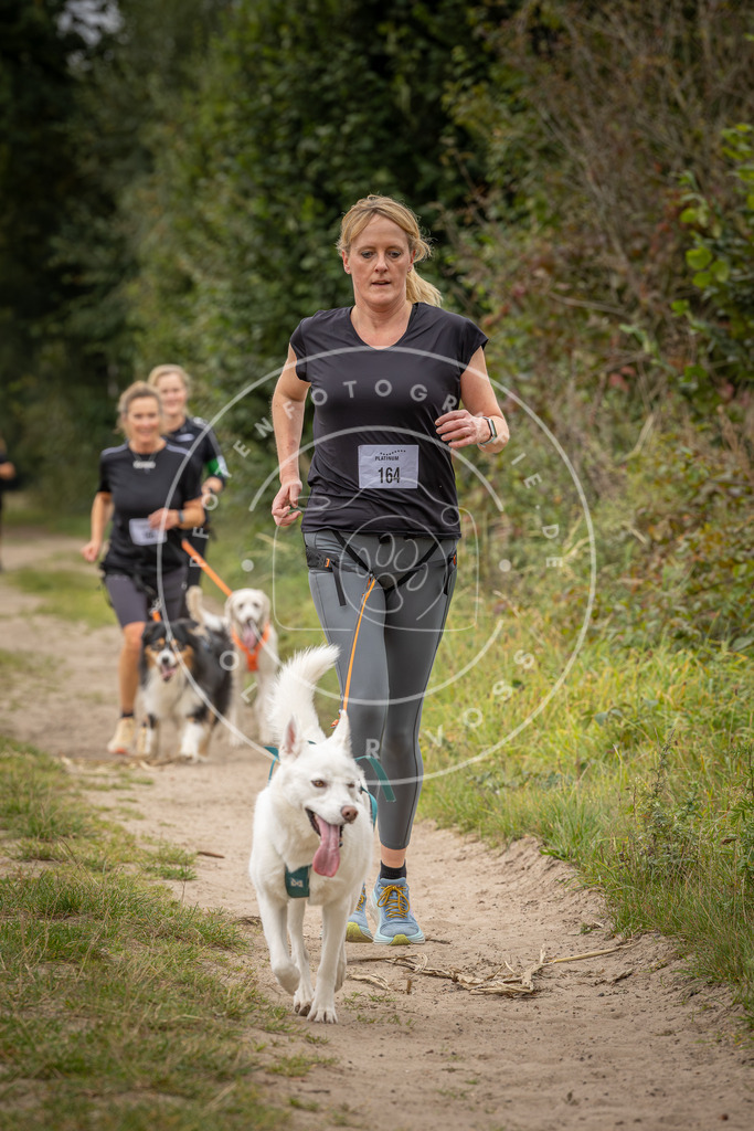 Pfotenfotografie_DV3A7229 | Hundefotografie, Tierfotograf, Pfotenfotografie, Fotoshooting Hund, Hunde Portrait, Hundesport, Hundeportraits, Heideshooting, Hunde, Sportfotograf, Hundefotograf, Turnierhundsport, THS,  - Realisiert mit Pictrs.com