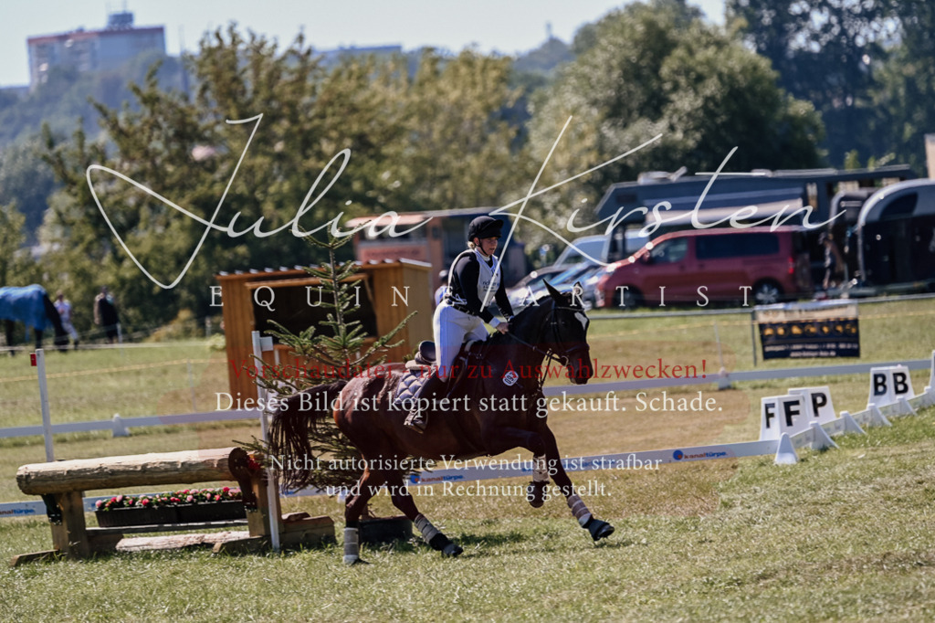 DSC_1843 | Pferde- und Turnierfotografie in Westsachsen. Pferdeportraits, Auftragszeichnungen und intuitive Kunst.