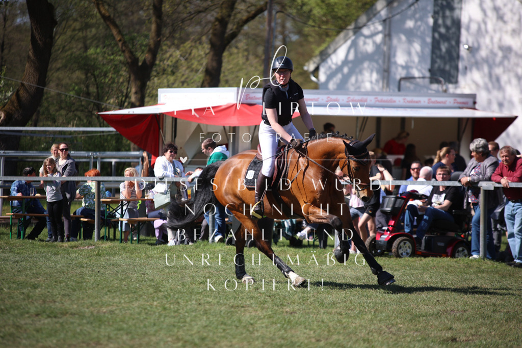 IMGT8869 | pl-fotografie