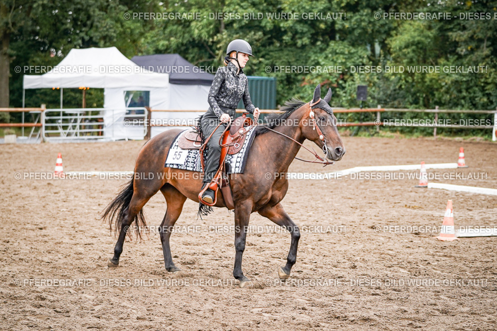 DSC03180 | Pferdegrafie