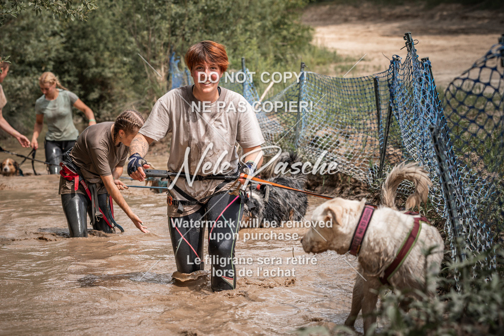 nelerasche_Hoope2026_So1430-1530_214 | nelerasche