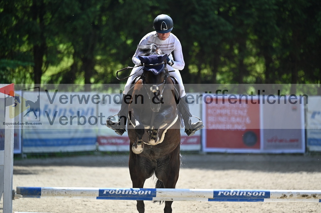 DSC_4239 | equestrian-live-com