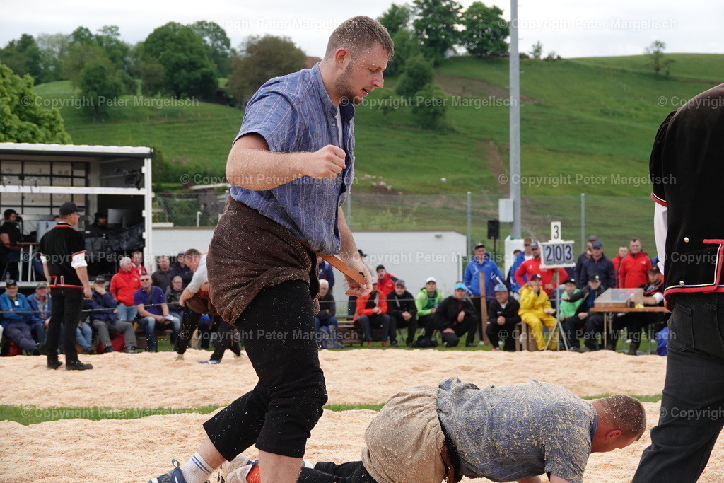 DSC00629 | Schwingen - Realisiert mit Pictrs.com