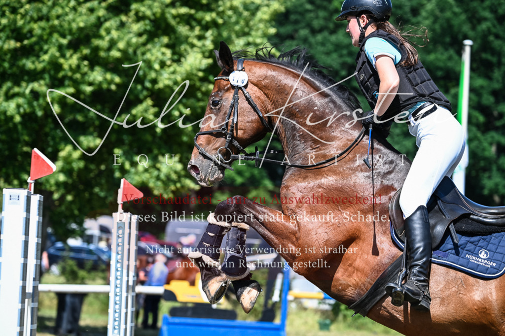 DSC_1506 | Pferde- und Turnierfotografie in Westsachsen. Pferdeportraits, Auftragszeichnungen und intuitive Kunst.