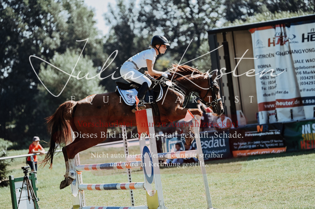 DSC_5619 | Pferde- und Turnierfotografie in Westsachsen. Pferdeportraits, Auftragszeichnungen und intuitive Kunst.