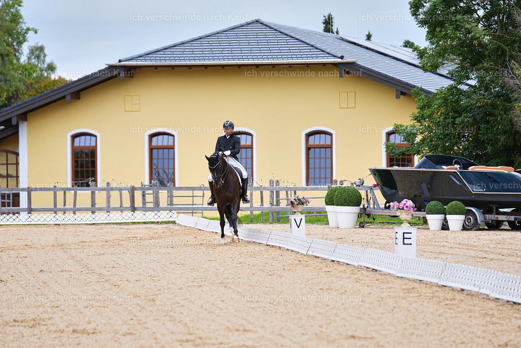 8_1-045-Klasse S_  -Marixx-4036 | working equitationturnier fotograf videograf stoibphotography marixx film working equitation deutschland reitsport turnierfotografie eventfotografie equestrian events