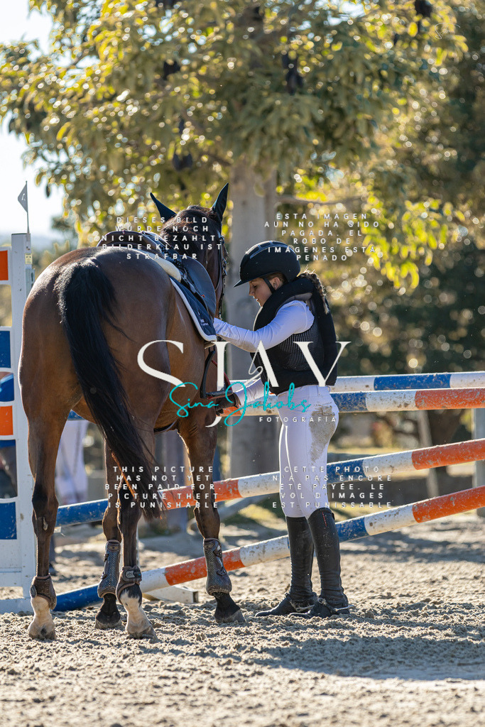 IMG_2138 | s-jay-photography - Realisiert mit Pictrs.com