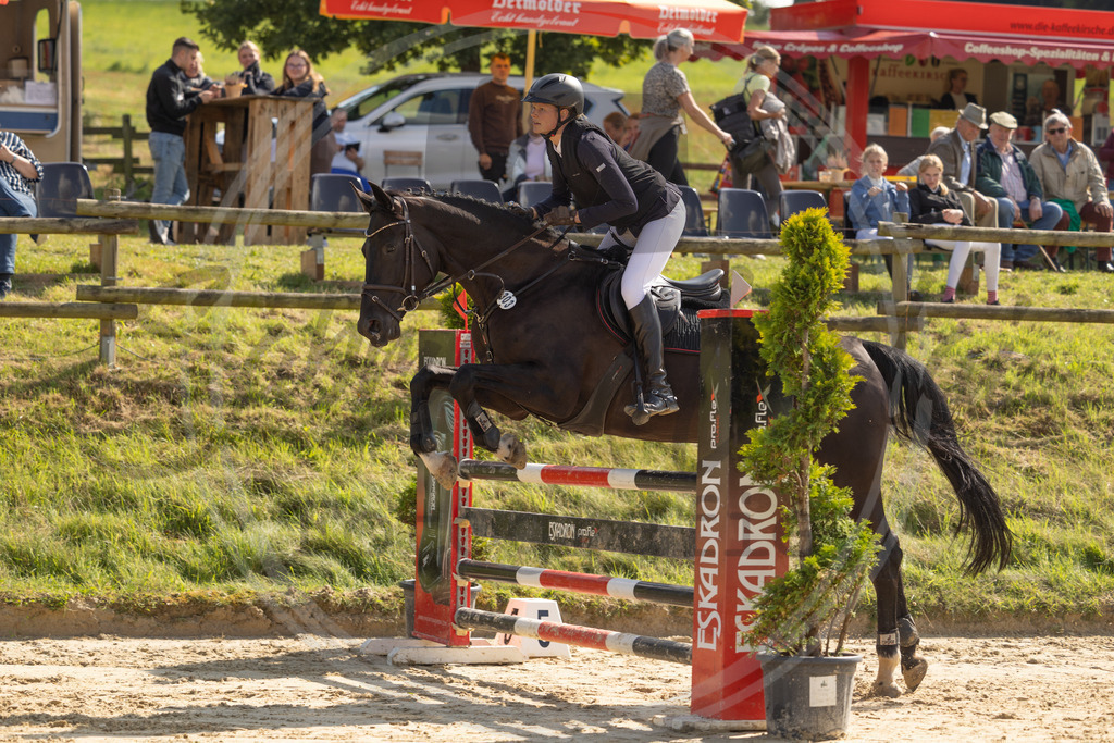 994A8218 | sabrinanicolaifotografie - Realisiert mit Pictrs.com