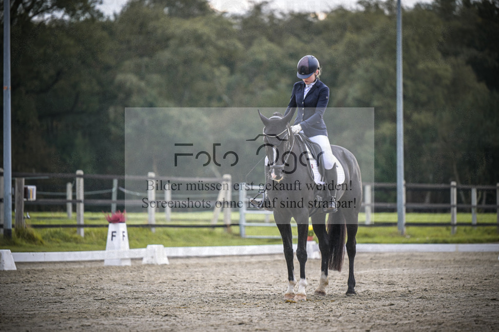 DOS_2567 | Entdecke hochwertige Reitturnierfotos von Foto Oger. Professionell, emotional und authentisch – jetzt Lieblingsmomente im Shop bestellen.Deutschlandweite Turnierfotografie. - Realisiert mit Pictrs.com