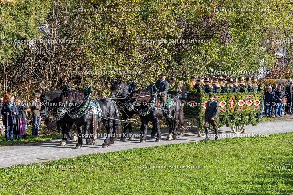LBT24-421 | foto-bettina-krinner - Realisiert mit Pictrs.com