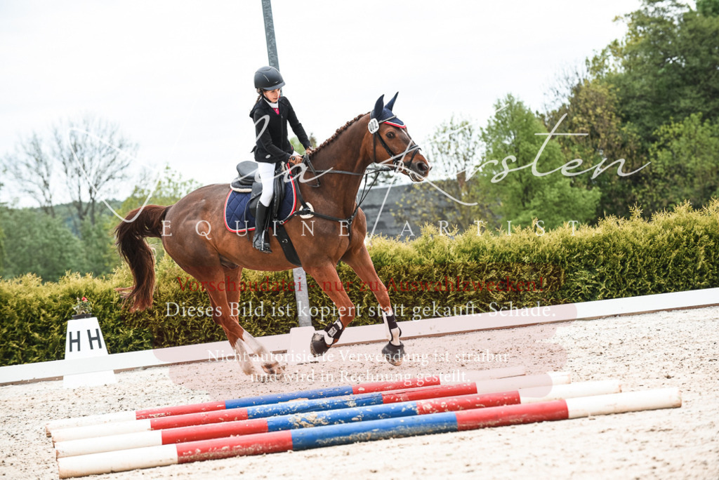 20230518_JK-Röhrsdorf-10-446 | Pferde- und Turnierfotografie in Westsachsen. Pferdeportraits, Auftragszeichnungen und intuitive Kunst.