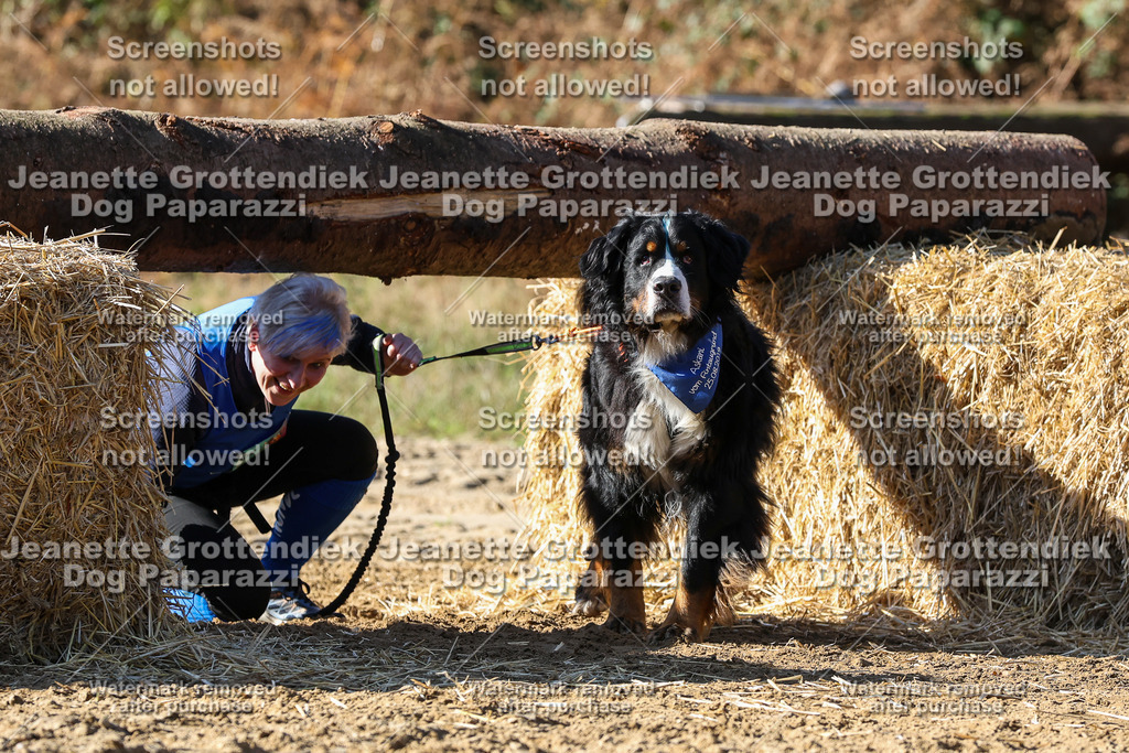 Dog Paparazzi - Strongdog 10-25-2903 | Dog Paparazzi Jeanette Grottendiek Fotografie & Videografie - Realisiert mit Pictrs.com