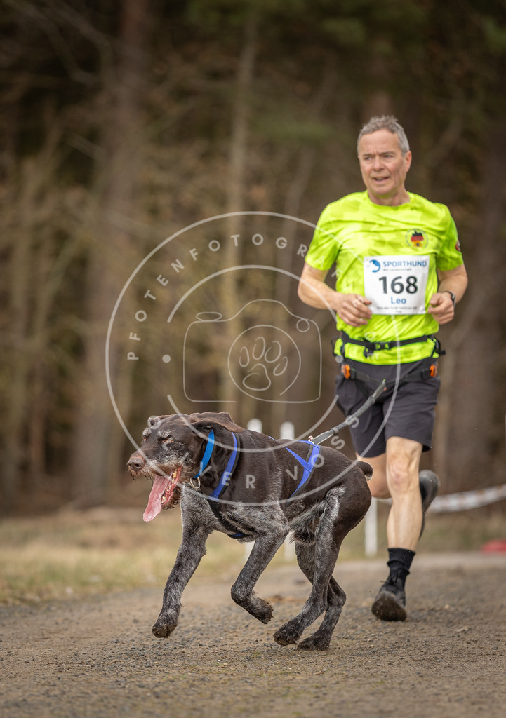 DV3A5259 | Hundefotografie, Tierfotograf, Pfotenfotografie, Fotoshooting Hund, Hunde Portrait, Hundesport, Hundeportraits, Heideshooting, Hunde, Sportfotograf, Hundefotograf, Turnierhundsport, THS,  - Realisiert mit Pictrs.com