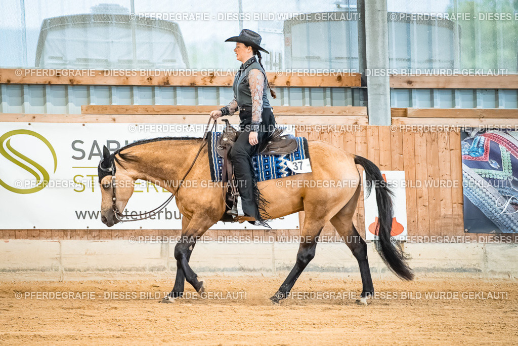 DSC00026 | Pferdegrafie