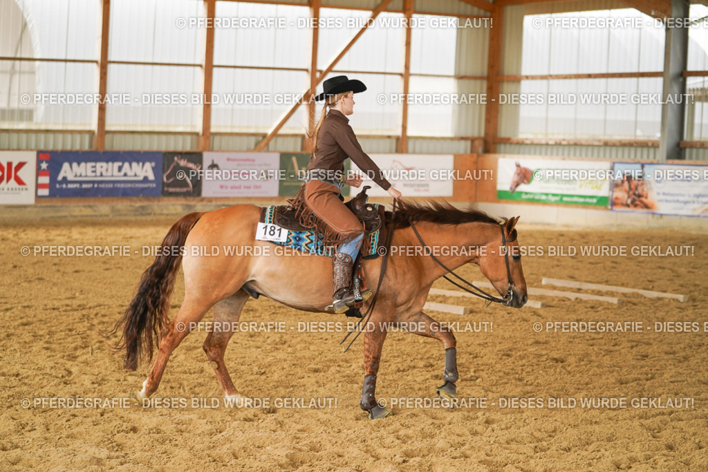 DSC04660 | Pferdegrafie