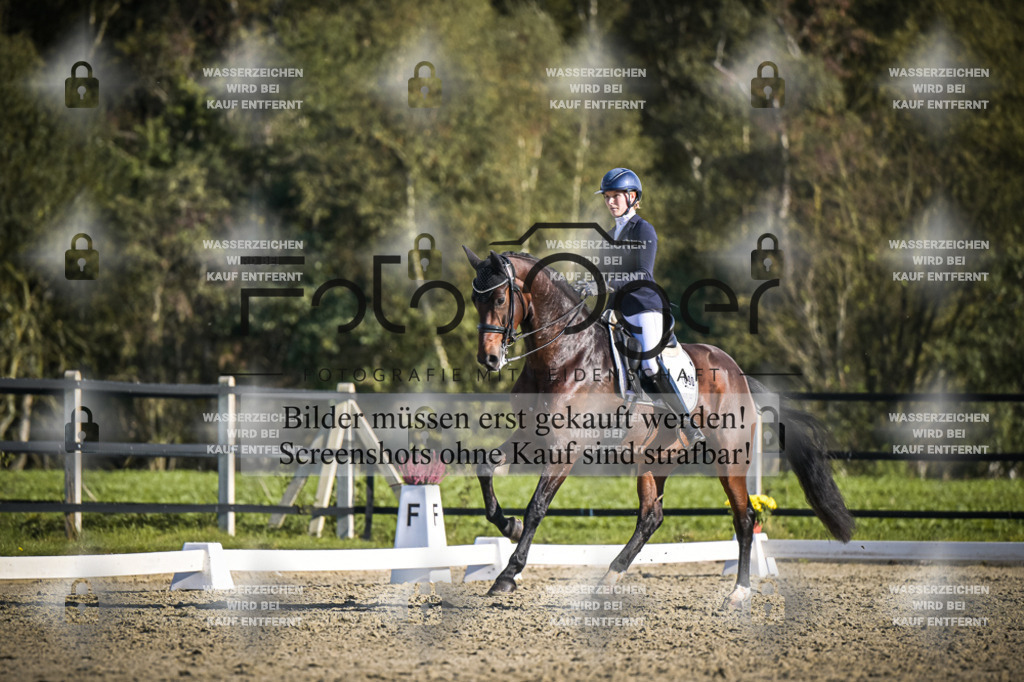 DOS_B824 | Entdecke hochwertige Reitturnierfotos von Foto Oger. Professionell, emotional und authentisch – jetzt Lieblingsmomente im Shop bestellen.Deutschlandweite Turnierfotografie. - Realisiert mit Pictrs.com