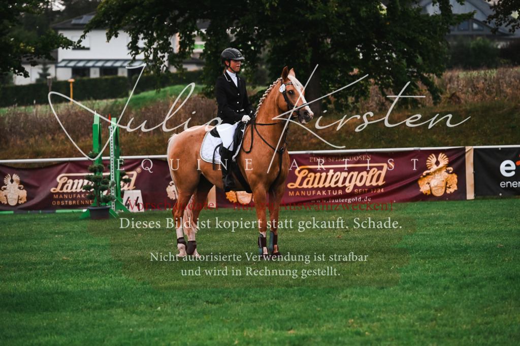 DSC_6116 | Pferde- und Turnierfotografie in Westsachsen. Pferdeportraits, Auftragszeichnungen und intuitive Kunst.