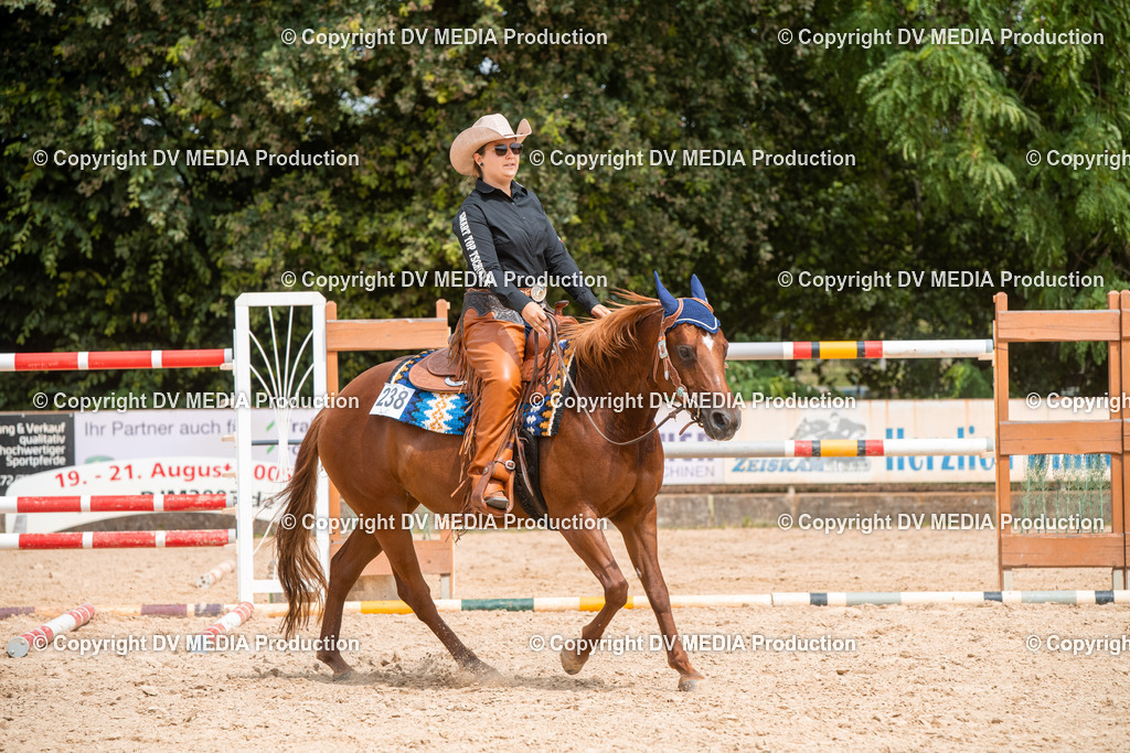 EWP_6102 | dv-media-shop - Realisiert mit Pictrs.com