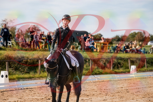 2026_10_03_Siefer-Hof_115835_Z63_32005456 | Professionelle Reitsport-, Turnier- und Eventfotografie von Robert Broda. Galerien mit ausgewählten und bearbeiteten Bildern direkt online ansehen und bestellen.