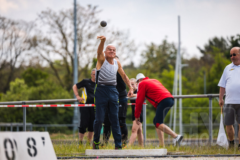 GM_20240511_279984_Canon EOS R5_GMHY4422_sRGB | Webshop der Firma HY-photo, bietet Fotos und Fotoprodukte vorrangig mit Motiven aus Hoyerswerda und Umgebung, aber auch weltweit. Fotograf: Gernot Menzel - Realisiert mit Pictrs.com