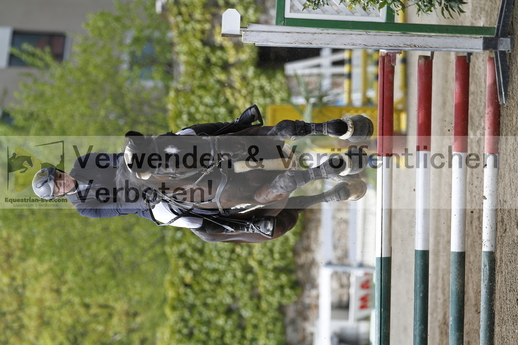 _MG_2015 | equestrian-live-com