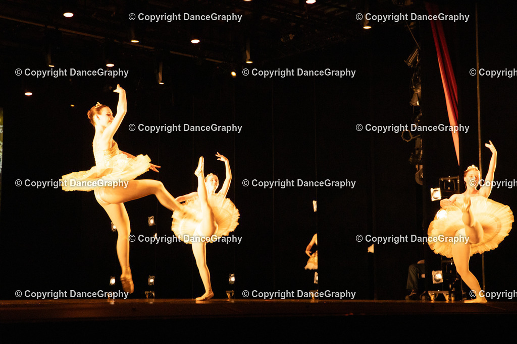 GPHY4481 | DanceGraphy - Realisiert mit Pictrs.com