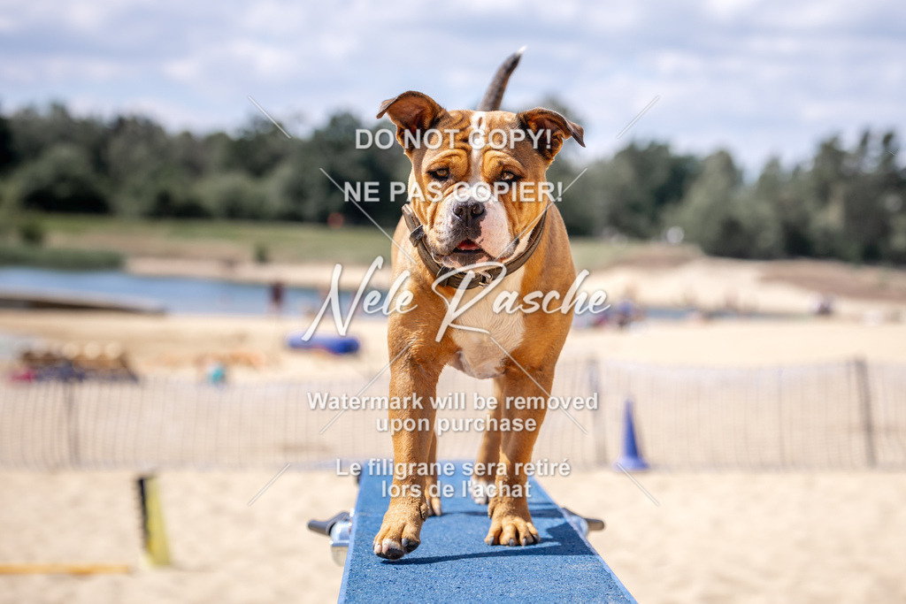 NR__2994 | nelerasche