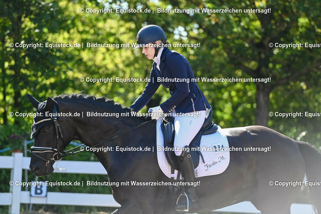 20230715_06_Dressurpferdeprfg. Kl.A_0267 | equistock