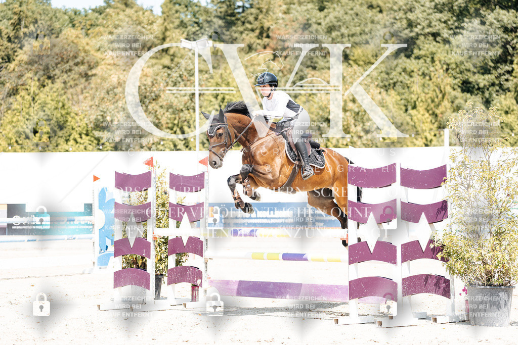 CK900999 | Turnierfotografie Pferdefotografie Trier Rheinland-Pfalz Pferdesport Reitsport Tierfotografie Sportfotografie Pferdevideo Pferdevideografie Equestrianvideography equestrianphotography  - Realisiert mit Pictrs.com