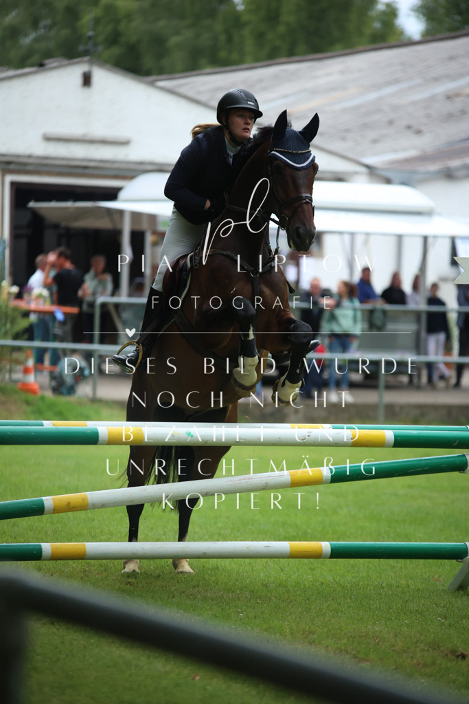 IMGM3716 | pl-fotografie