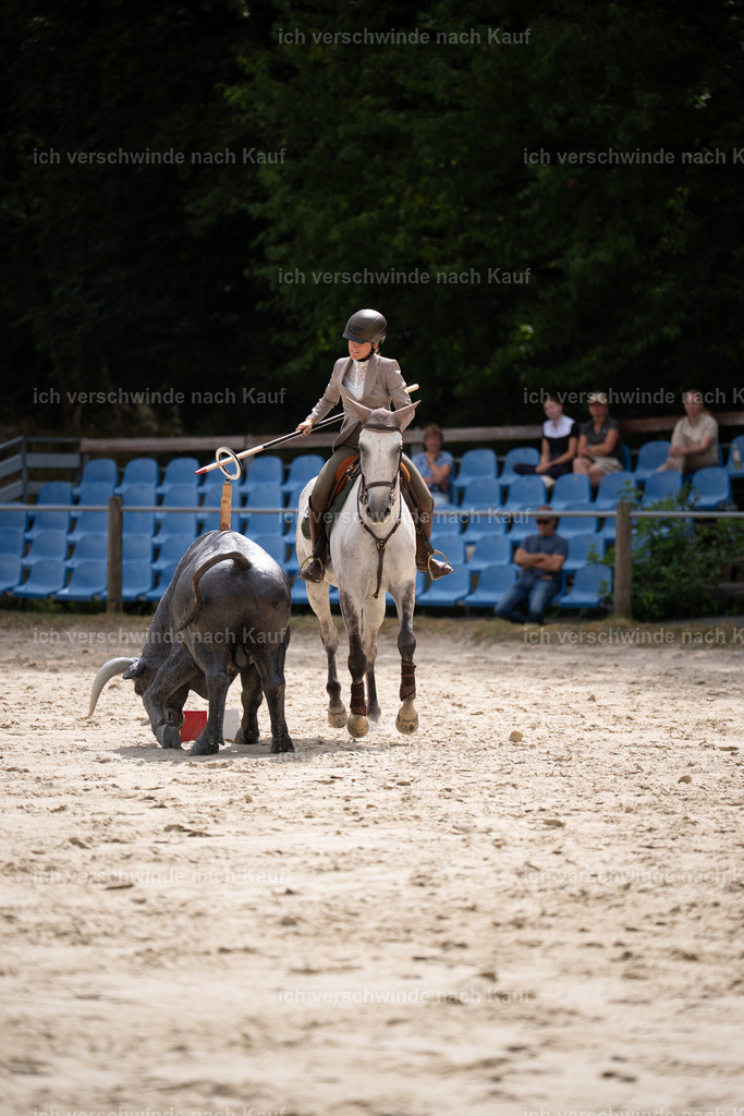 WL_ST_114_stoibphotography__SO10647 | working equitationturnier fotograf videograf stoibphotography marixx film working equitation deutschland reitsport turnierfotografie eventfotografie equestrian events