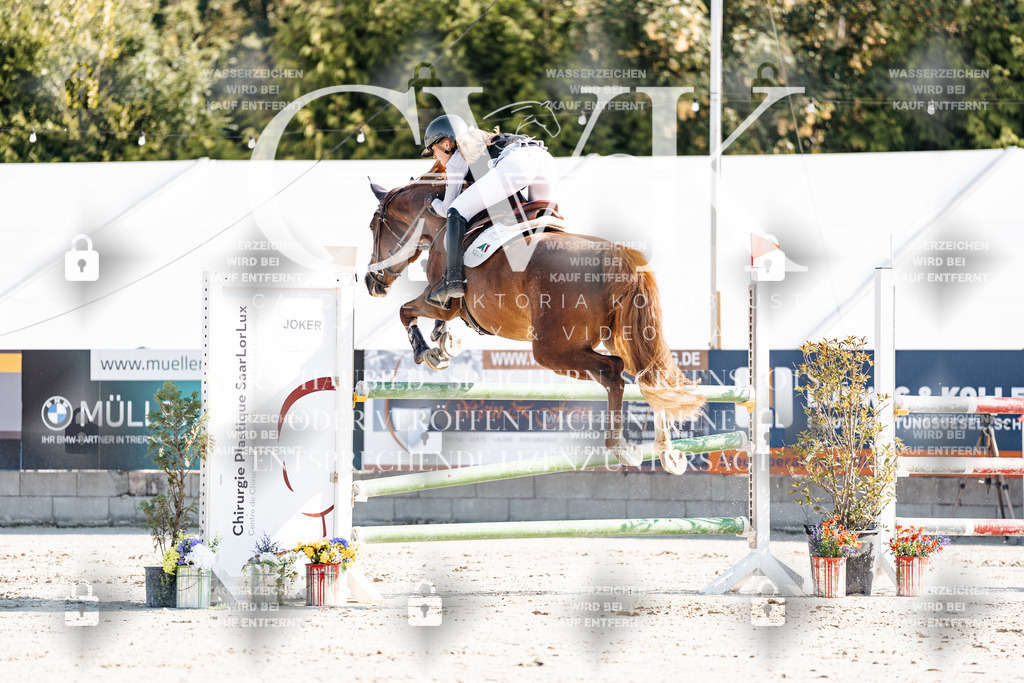 CK901894 | Turnierfotografie Pferdefotografie Trier Rheinland-Pfalz Pferdesport Reitsport Tierfotografie Sportfotografie Pferdevideo Pferdevideografie Equestrianvideography equestrianphotography  - Realisiert mit Pictrs.com