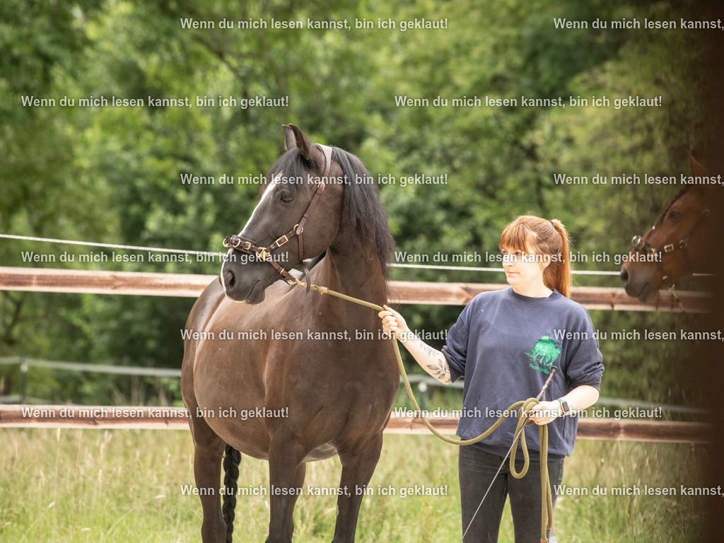 598A6226 | photographylinaismer - Realisiert mit Pictrs.com